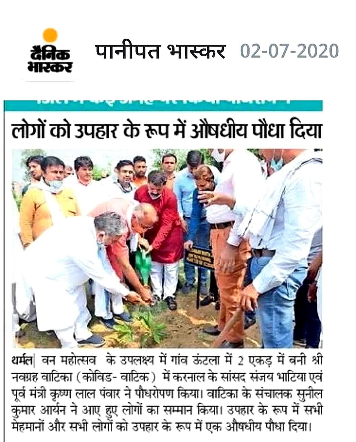 औषधीय पौधा उपहार में वितरण
