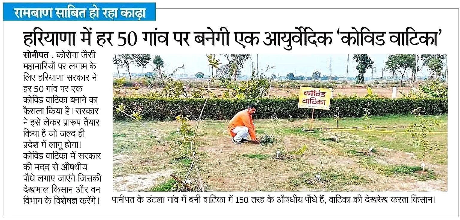 150 प्रकार के औषधीय पौधों वाली कोविड वाटिका