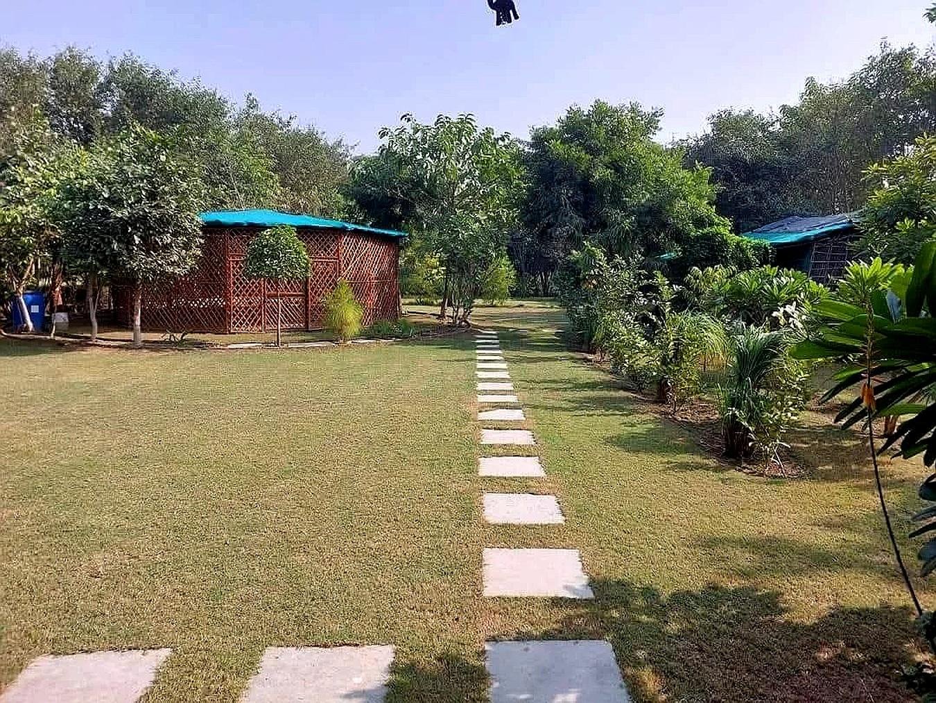 श्री नवग्रह वाटिका ध्यान कुटीर एवं औषधीय पौधों की क्यारियाँ